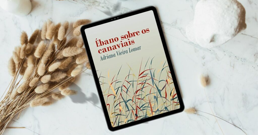 Livro sobre escravidão vence prêmio Kindle de literatura 2